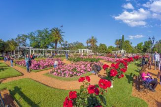 Best parks in Buenos Aires