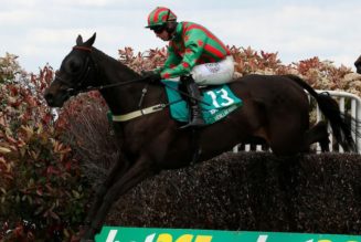 bet365 Gold Cup Betting News | 26 Horses Remain For Sandown Race