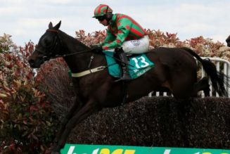 bet365 Gold Cup Trends | Horse Racing Stats For 2022 Sandown Race
