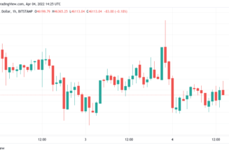 Bitcoin dices with $46K as Elon Musk Twitter buy sends Dogecoin near 2-month highs