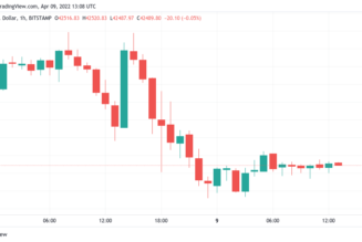 Bitcoin whales fill their bags despite warnings BTC price could fall below $40K