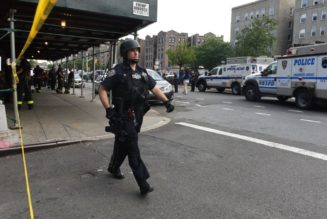 Bronx Man Wanted For Fatal Gang Stabbing Nabbed In Florida Hotel