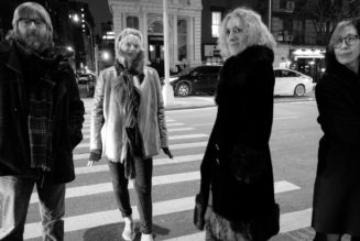 Bush Tetras’ New Drummer Is Sonic Youth’s Steve Shelley