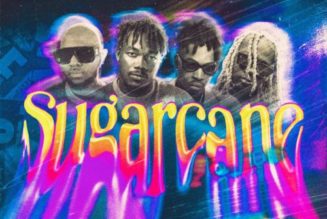 Camidoh ft King Promise, Mayorkun & Darkoo – Sugarcane (Remix)