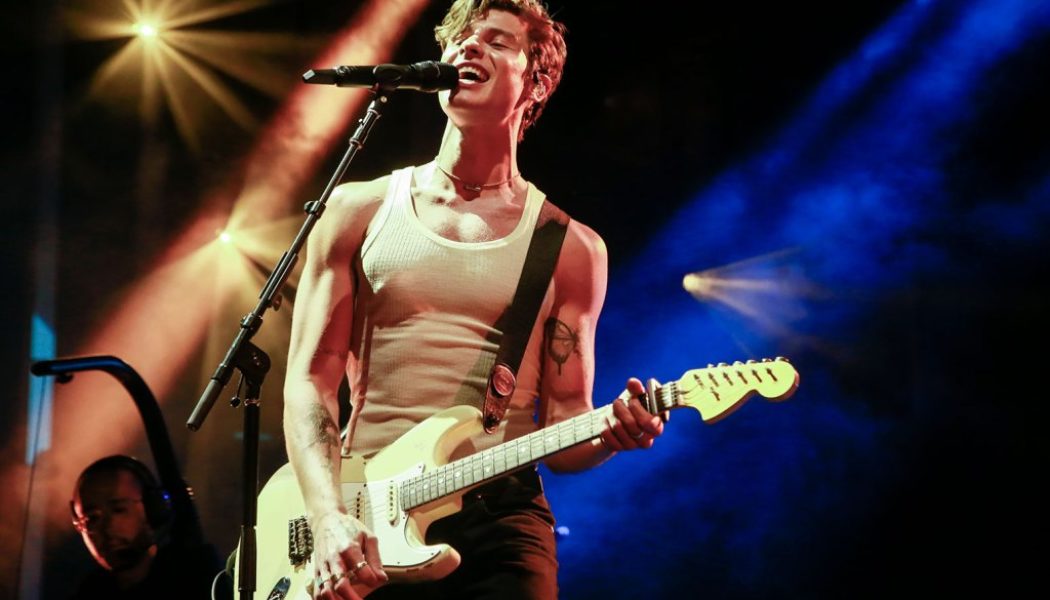 Here Are the Lyrics to Shawn Mendes’ ‘When You’re Gone’