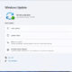 How to pause and disable Windows 11 updates
