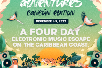 Join Pollen and Electric Zoo In Cancún for Their Biggest International Music Festival Yet