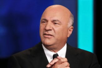 Kevin O’Leary says Bitcoin can’t crash as it is now a store of value