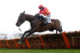 Ladbrokes Champion Stayers Hurdle Trends | Punchestown Festival Tips