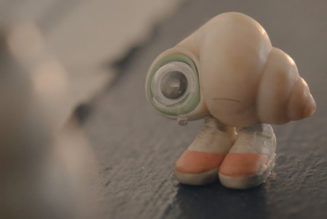 Marcel Searches for Other Shells in Trailer for Marcel the Shell with Shoes On: Watch