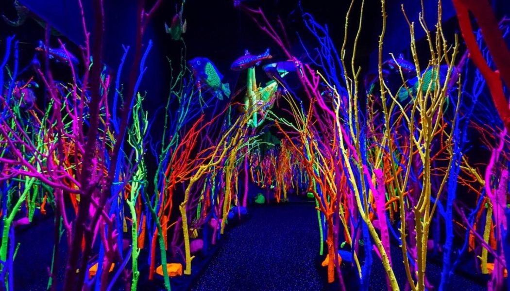 Meow Wolf’s Vortex Festival Is Moving to Denver