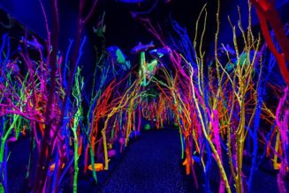 Meow Wolf’s Vortex Festival Is Moving to Denver
