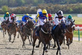 Newcastle Lucky 15 Tips: Four Horse Racing Tips on Friday 15th April