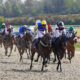 Newcastle Lucky 15 Tips: Four Horse Racing Tips on Friday 15th April