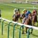 Newmarket Craven Meeting 2022 Tips and Best Bets for Day 1