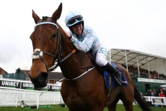 Paddy Power Champion Hurdle Trends | Horse Racing Tips For Friday’s Race