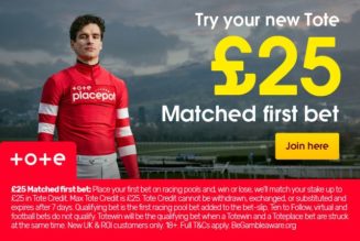 Placepot Tips – Windsor 11th April