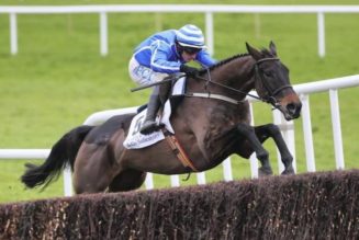 Punchestown Champion Chase Trends | Punchestown Festival Tips and Stats