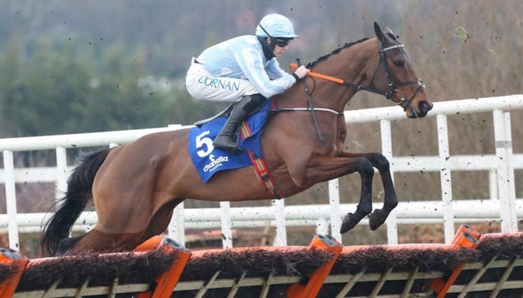 Punchestown Festival Horse Racing Tips For Day Four, Friday 29th April