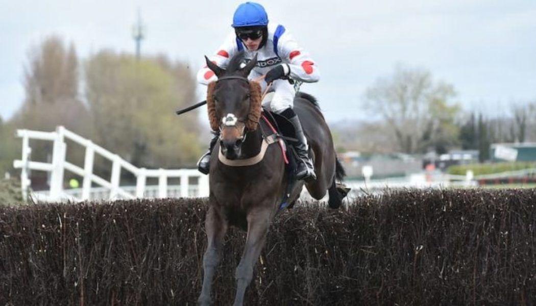Punchestown Gold Cup Trends | Horse Racing Tips For Wednesday’s Race