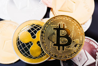 Ripple CEO says Bitcoin tribalism is curtailing overall progress