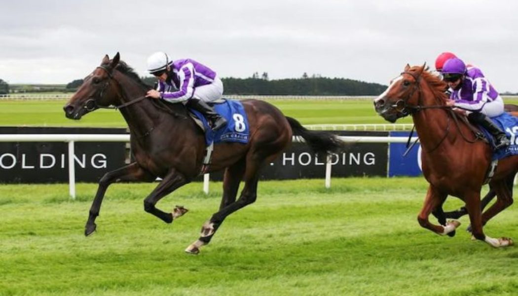 Sagaro Stakes Trends and Tips | Horse Racing Best Bets For Ascot Race