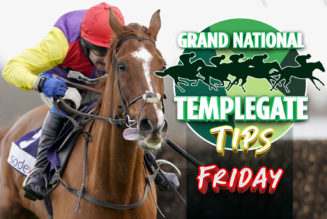 Templegate Aintree Tips | Aintree Horse Racing Best Bets For Day Two
