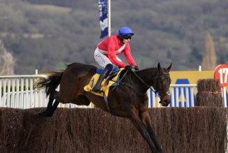 Templegate Punchestown Tips | Horse Racing Best Bets for Wednesday 27th April