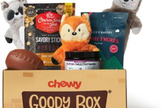 The Best Gifts to Spoil Your Cat or Dog for National Pet Day