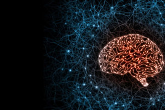 The Importance of Training in Managing a Cybersecurity Skills Shortage