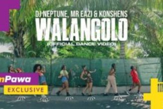 VIDEO: DJ Neptune – Walangolo ft. Mr Eazi, Konshens
