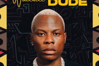 Wadude – Devil Is A Lie