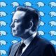 What Twitter employees are saying about Elon Musk