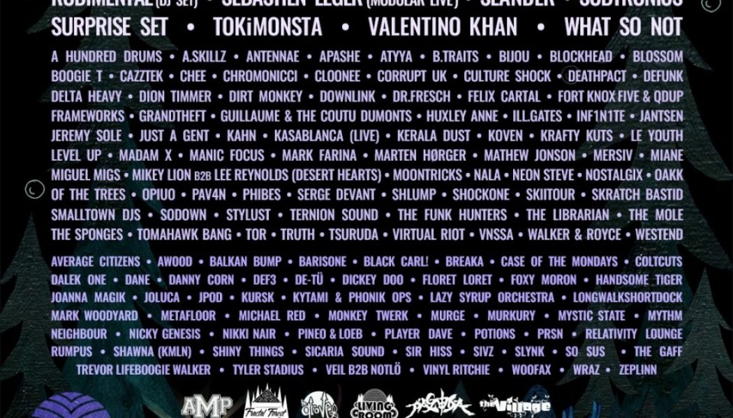 6 Bucket List Electronic Music Events to Attend In B.C., Canada