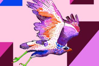 A once-in-a-lifetime bird