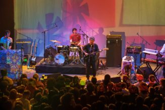 Animal Collective Cancel Shows After Avey Tare and Deakin Test Positive for COVID-19