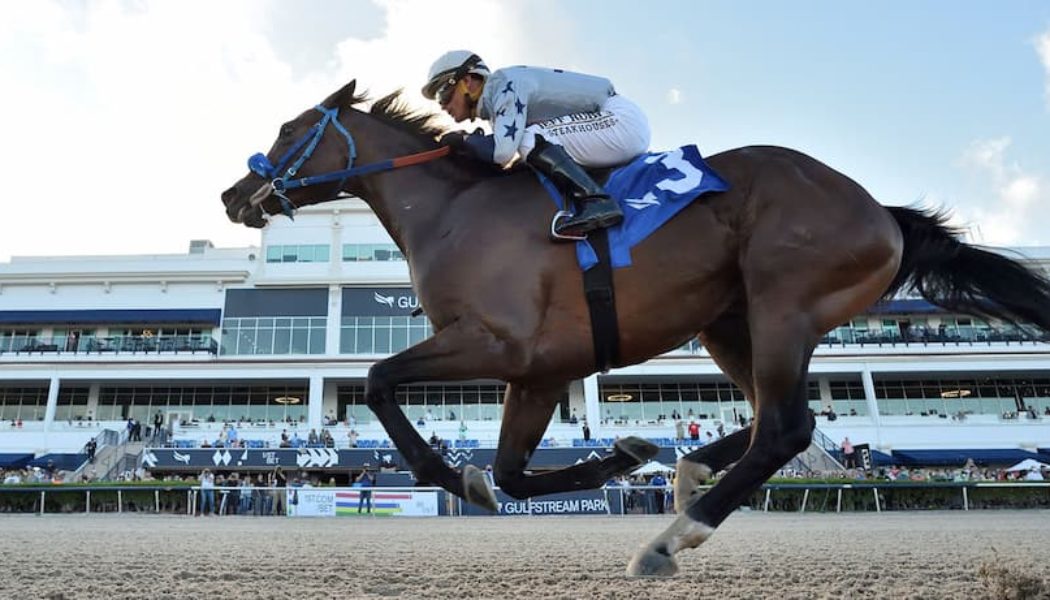 Best Horse Racing Betting Sites For Preakness Stakes | Pimlico Free Bets