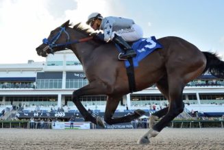 Best Horse Racing Betting Sites For Preakness Stakes | Pimlico Free Bets