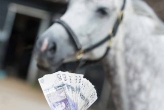 Best York Horse Racing Betting Offers and Free Bets for Dante Meeting
