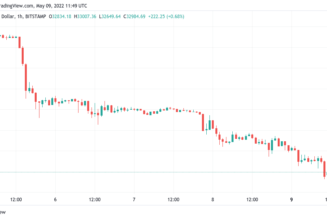 Bitcoin sets news 2022 lows as analyst says trip to $24K realized price ‘entirely possible’