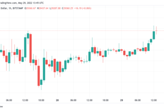 Bitcoin to set a new record 9-week losing streak with BTC price down 22% in May