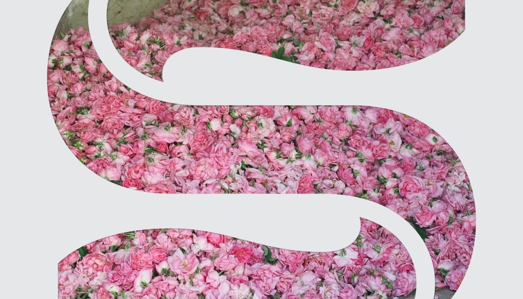 Braxe + Falcon Detail EP, Share New Song “Elevation”: Listen