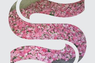 Braxe + Falcon Detail EP, Share New Song “Elevation”: Listen