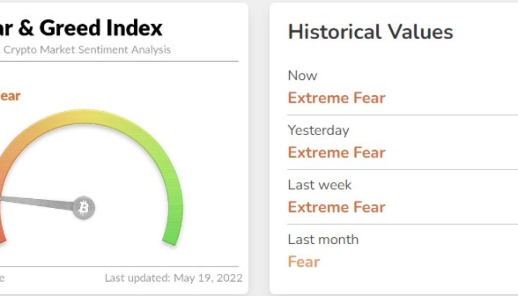 Contrarian Bitcoin investors identify buy zones even as extreme fear grips the market