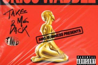 Criss Waddle ft Stonebwoy – Take Me Back