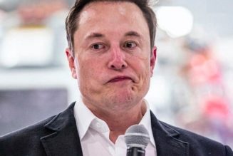 Elon Musk Puts Twitter Deal on Hold, Causes 20% Plummet in Stock Price