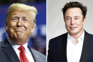 Elon Musk Says Donald Trump Will Be Allowed Back on Twitter