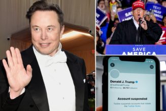 Elon Musk Says He Will Reverse Trump’s Ban on Twitter