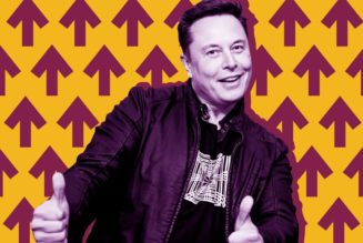 Elon Musk thinks he can double Twitter’s revenue through subscriptions alone