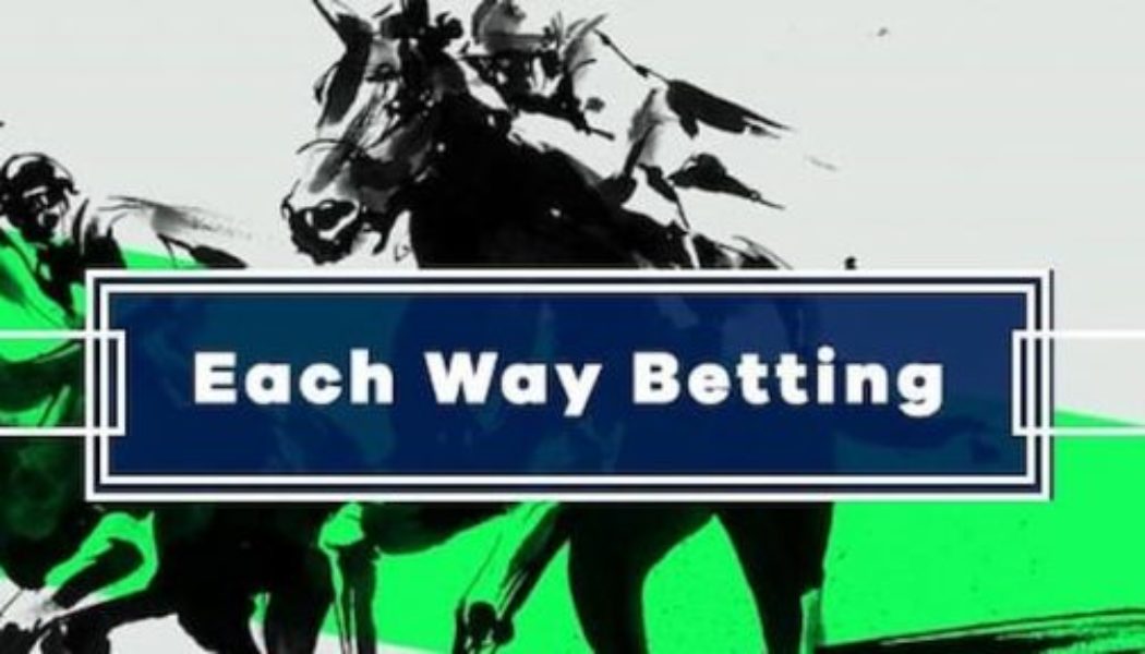 Horse Racing Each-way Tip Of The Day | Brighton Tip On Tues 17th May